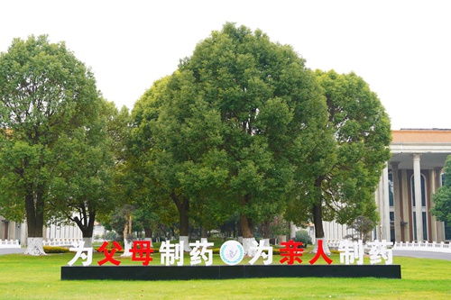 質(zhì)量文化:為父母制藥 為親人制藥 質(zhì)量文化:為父母制藥 為親人制藥
