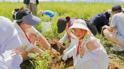 深度溯源有機(jī)品質(zhì)，第二屆717龍鳳堂有機(jī)黃芪節(jié)在固陽舉辦